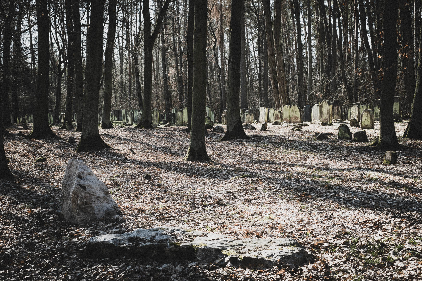 Haarhausen (Borken), Jüdischer Friedhof